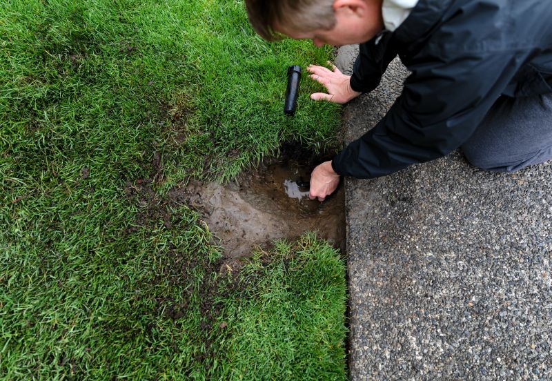 Lawn Sprinkler System Inspection