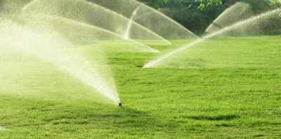 Get the Right Amount of Water!