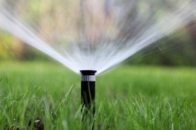 Keep Your Landscaping Looking Great!